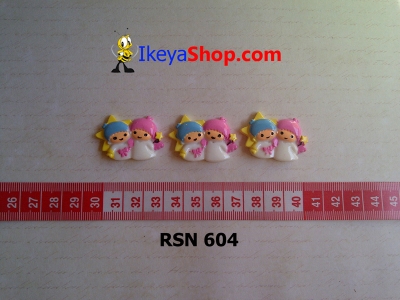 rsn 604  large2